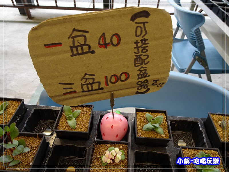 桃園假日農業創意市集 (36)27.jpg