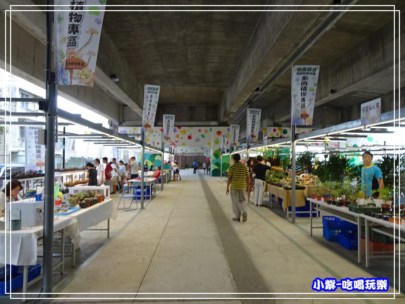 桃園假日農業創意市集 (42)34.jpg