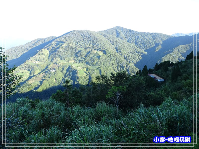 DSC0172391.jpg