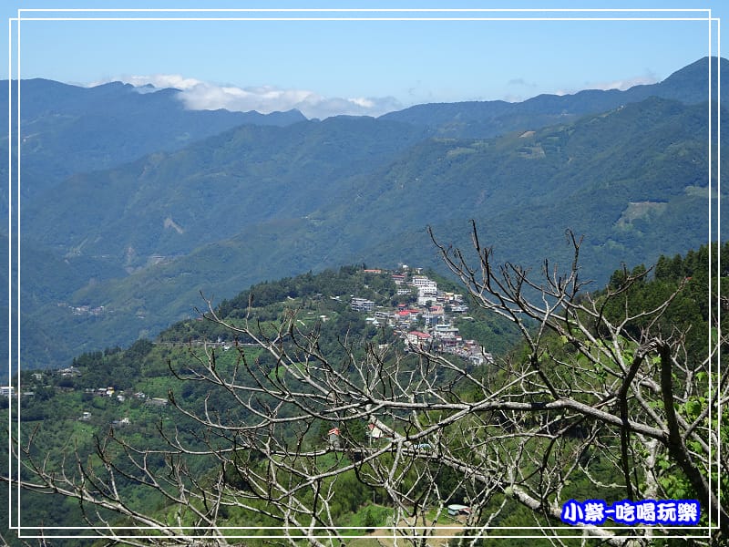 DSC0158762.jpg