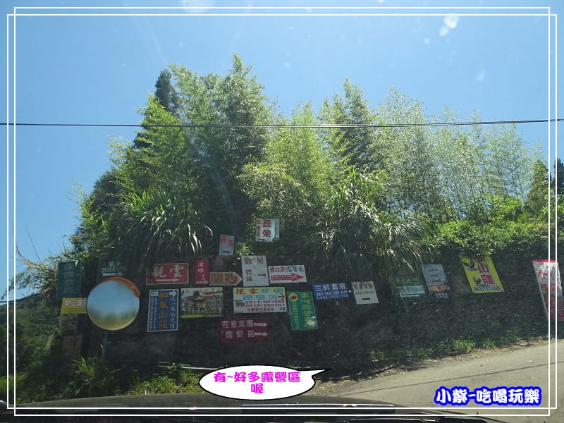 DSC0158661.jpg