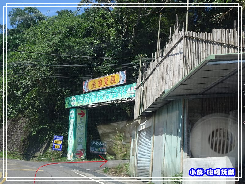 新竹-馬武督綠光森林 (2).jpg