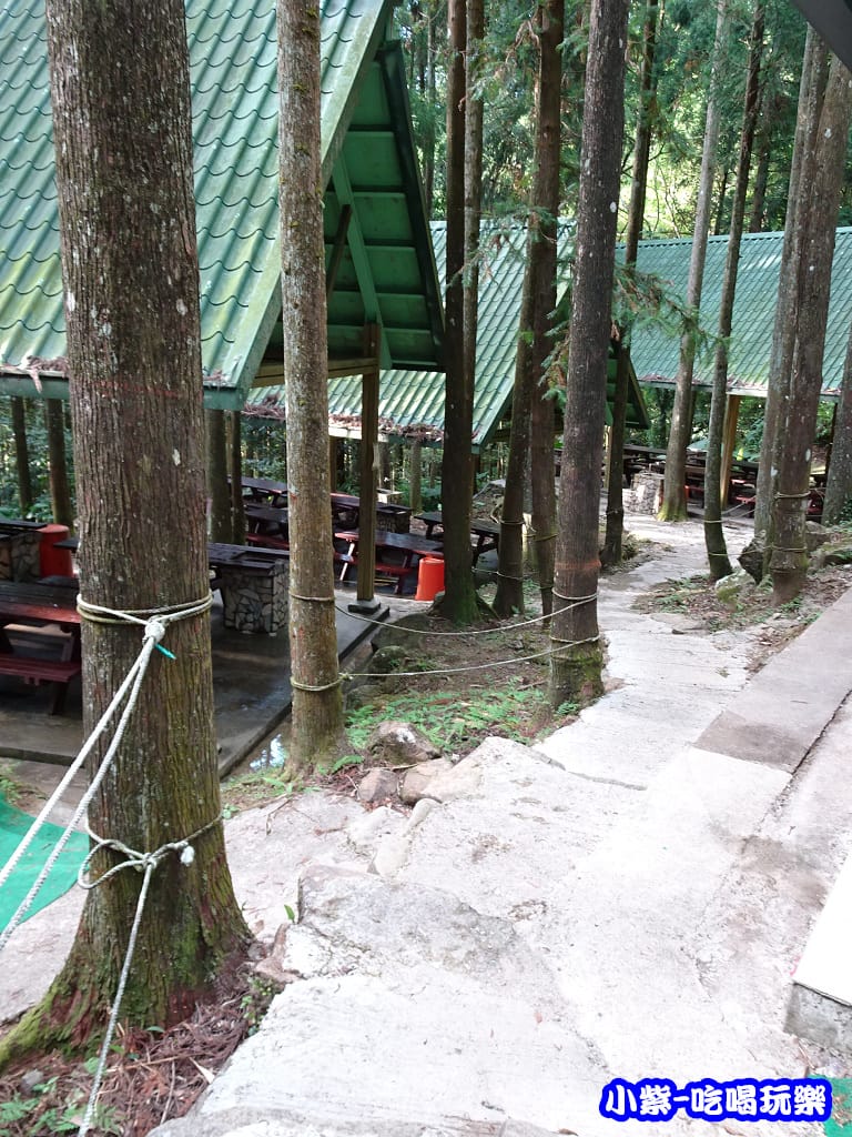 馬武督-綠光森林17.jpg