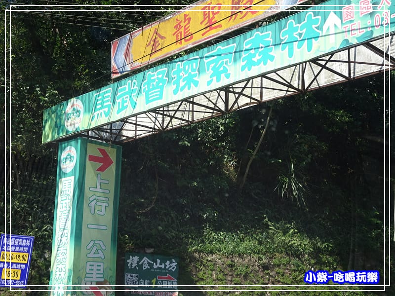 新竹-馬武督綠光森林 (3).jpg