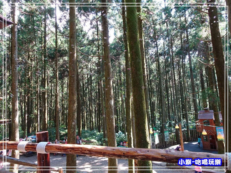 新竹-馬武督綠光森林 (22).jpg