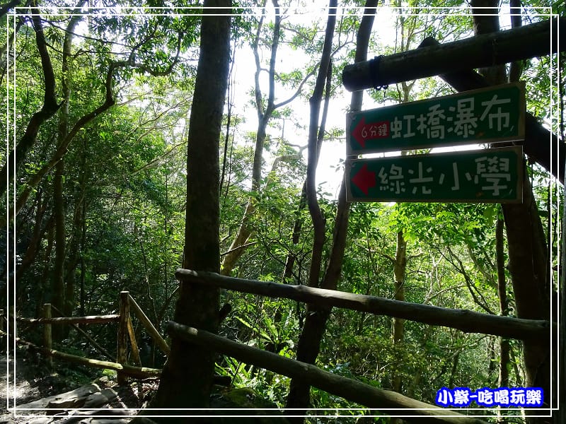新竹-馬武督綠光森林 (32).jpg