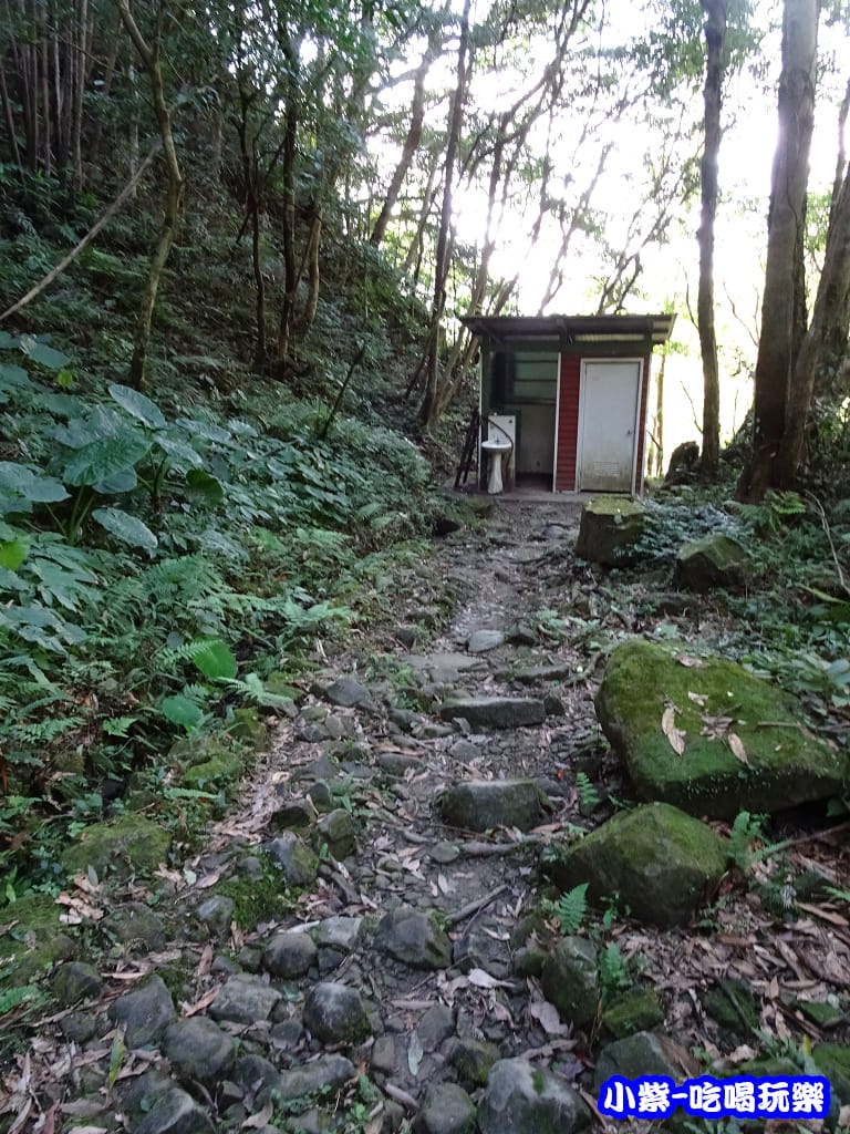 馬武督-綠光森林9.jpg