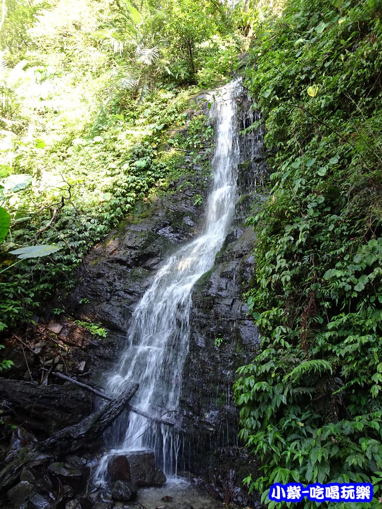 馬武督-綠光森林12.jpg