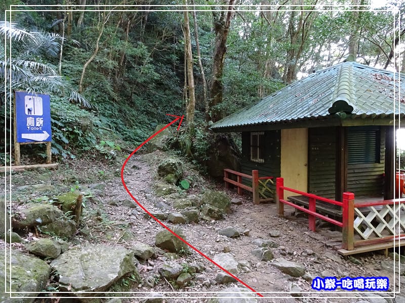 新竹-馬武督綠光森林 (35).jpg