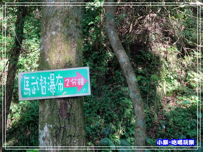新竹-馬武督綠光森林 (33).jpg