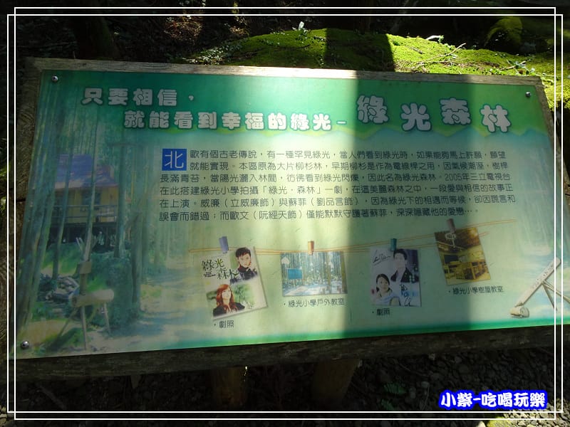 新竹-馬武督綠光森林 (16).jpg