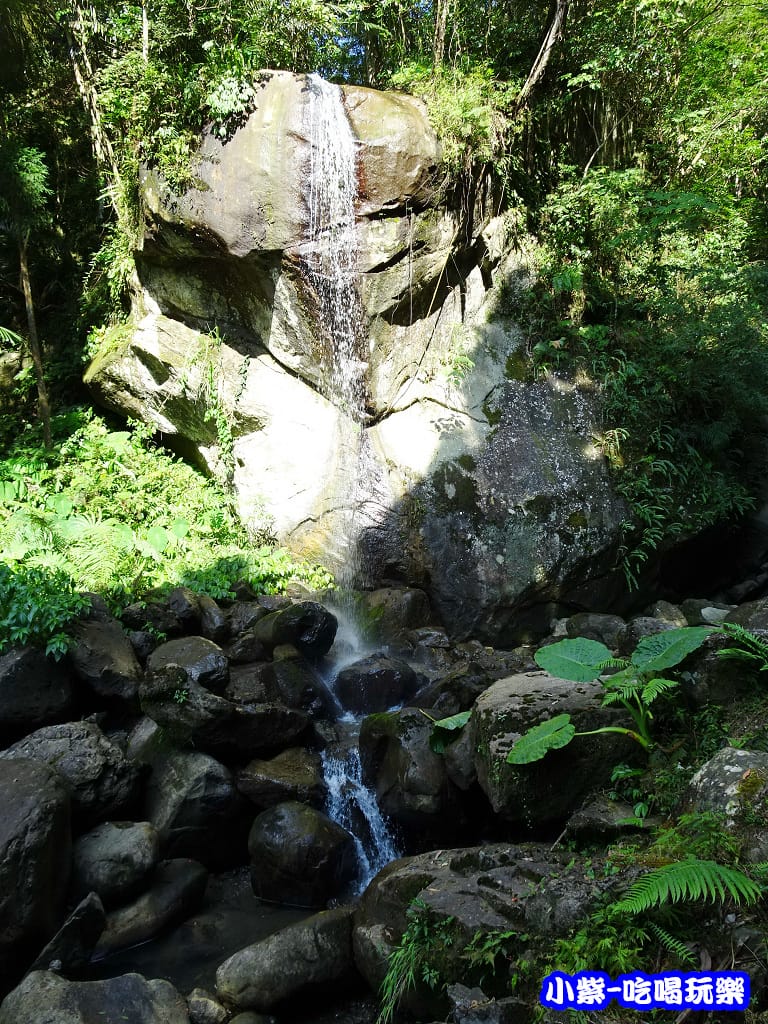 馬武督-綠光森林7.jpg