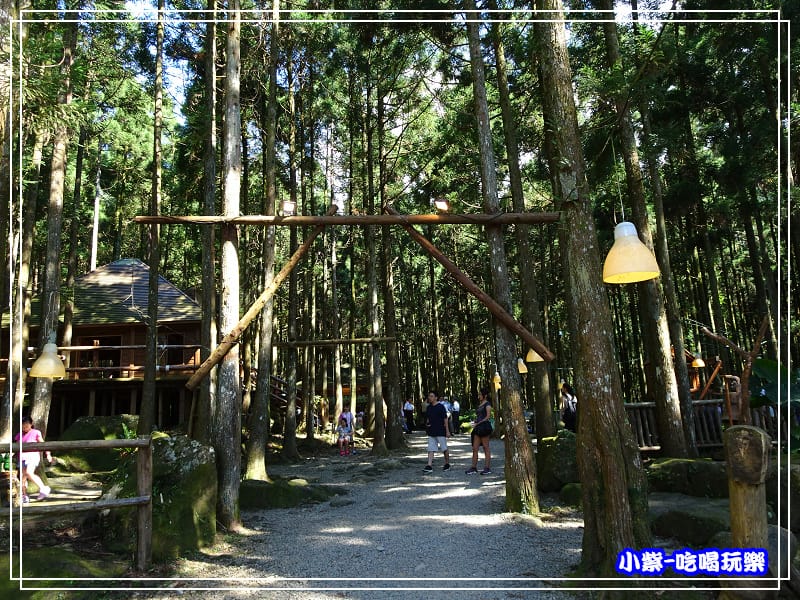 新竹-馬武督綠光森林 (15).jpg