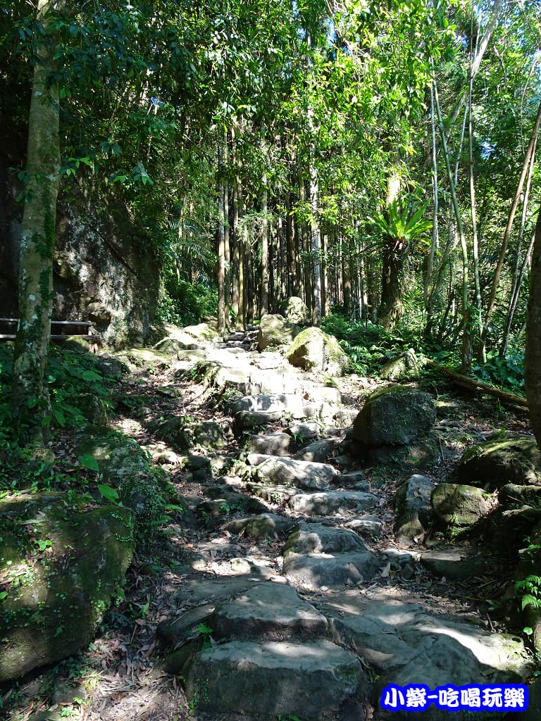 馬武督-綠光森林5.jpg