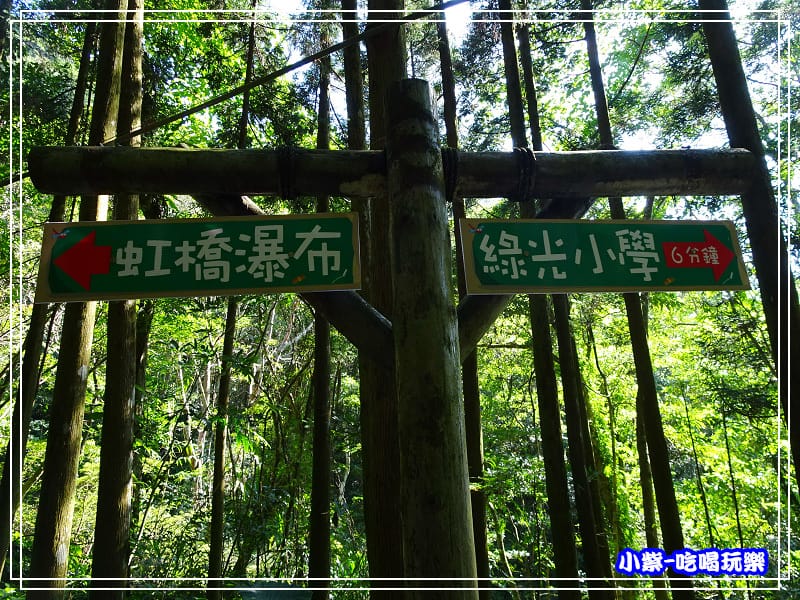 新竹-馬武督綠光森林 (25).jpg