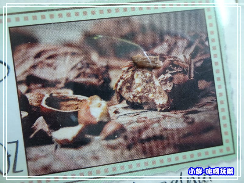 黛朵榛果松露巧克力 (1)89.jpg