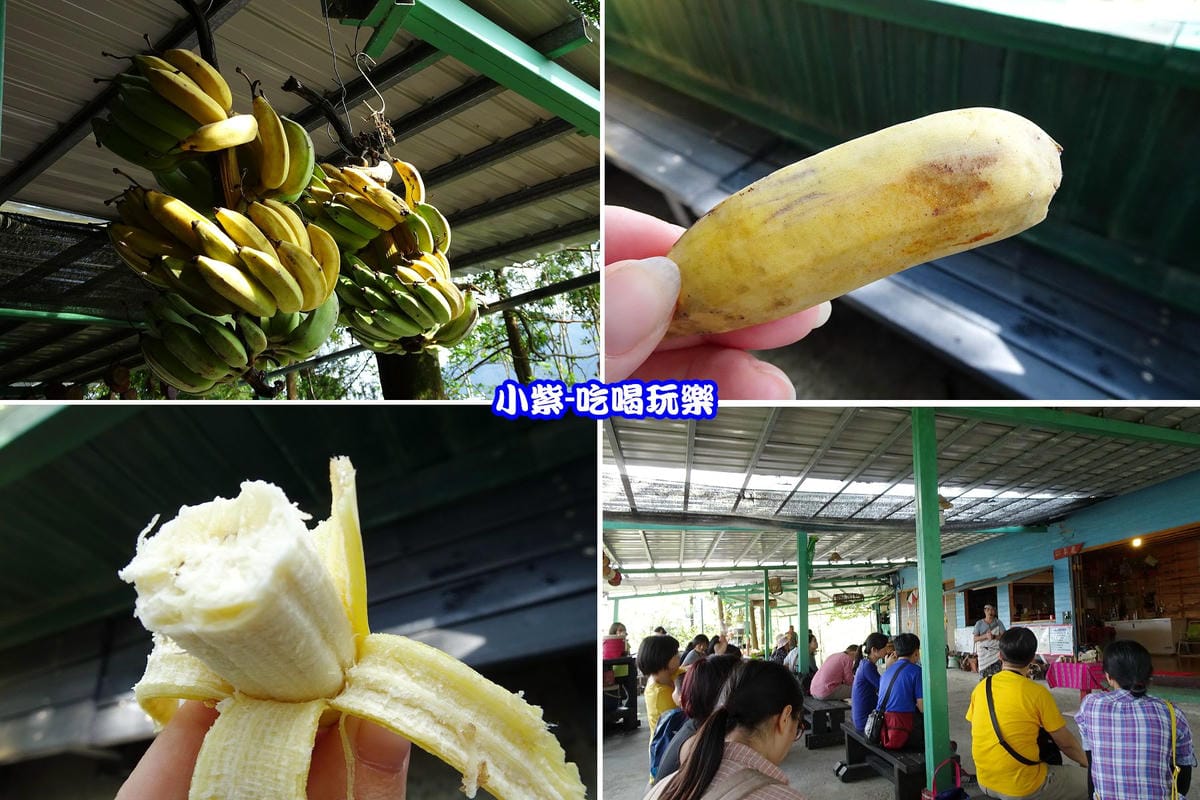 山焦.jpg 山焦.jpg