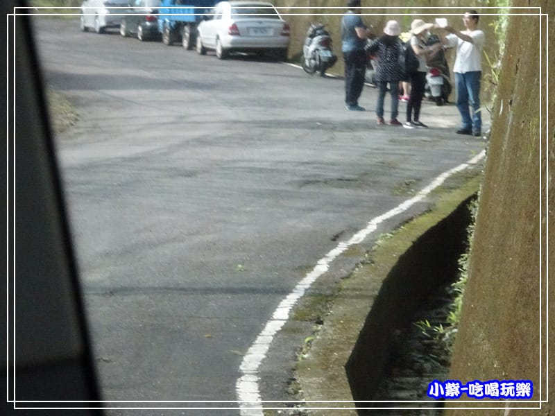 路小條.jpg 路小條.jpg