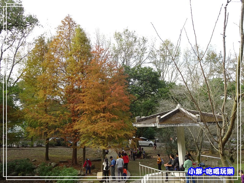 溪州公園步道 (8)13.jpg
