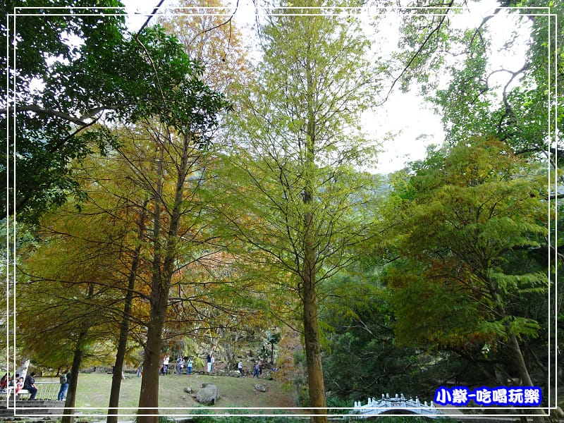 溪州公園步道 (2)12.jpg