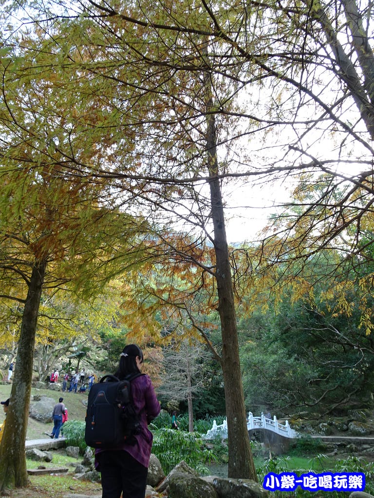 溪州公園步道 (3)4.jpg