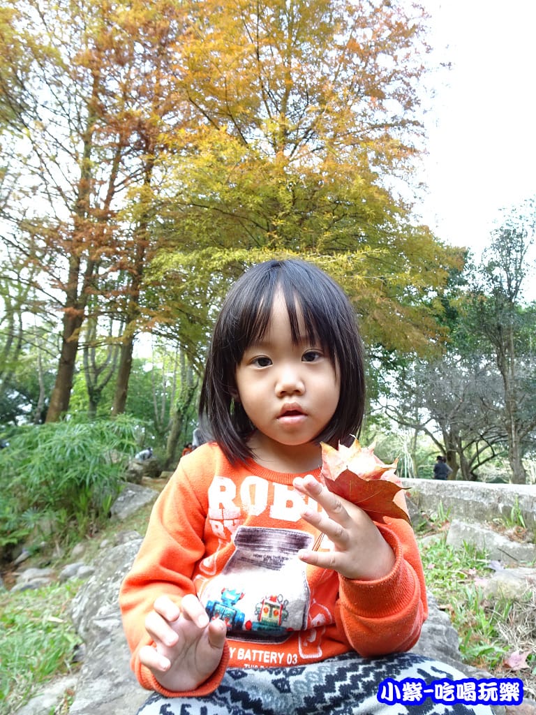 溪州公園步道 (6)6.jpg