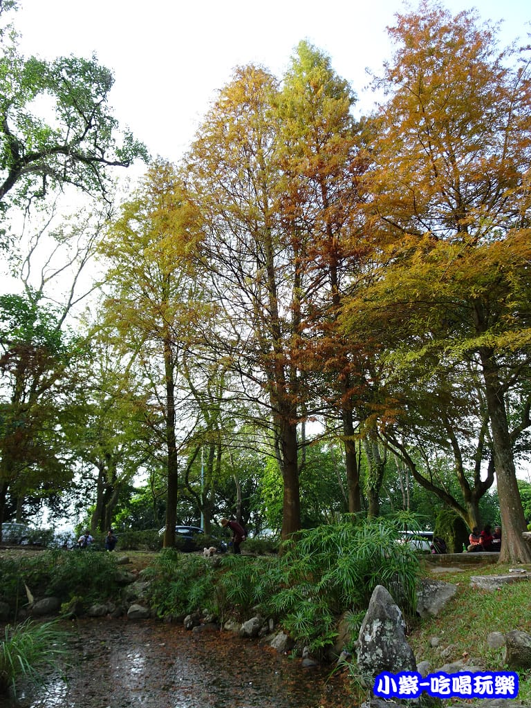 溪州公園步道 (7)7.jpg