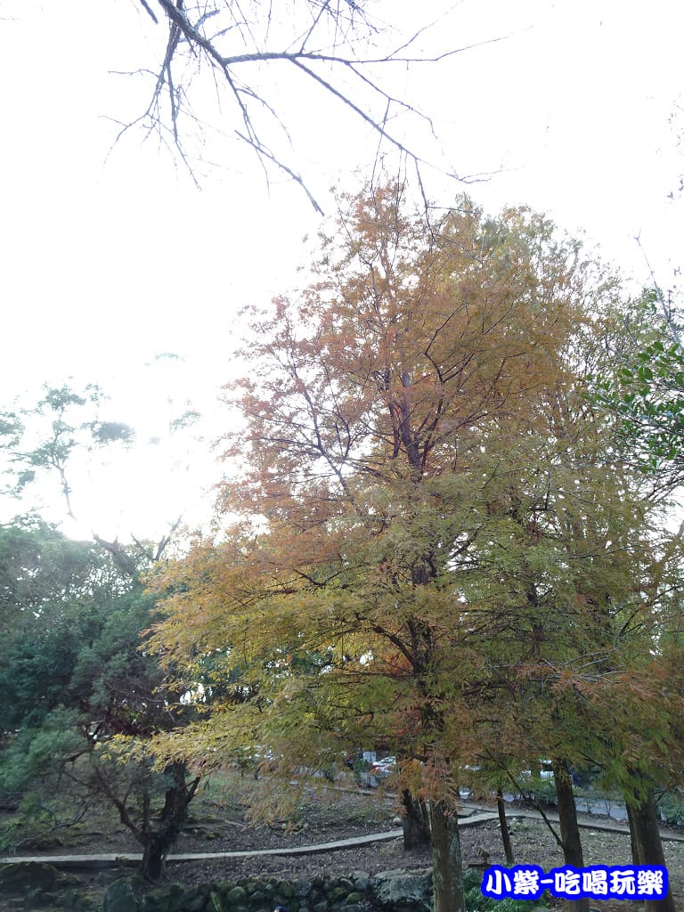溪州公園步道 (5)5.jpg