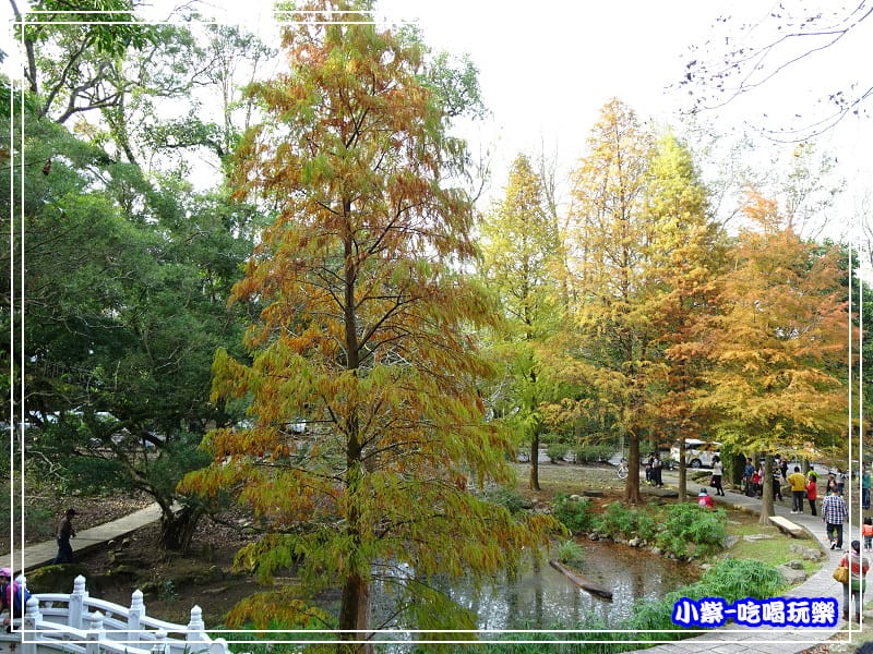 溪州公園步道 (9)14.jpg