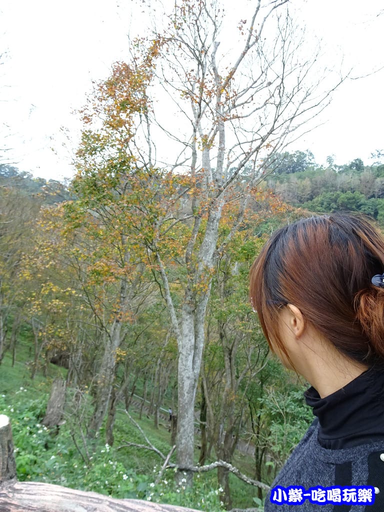 伊酷隄18.jpg 伊酷隄18.jpg