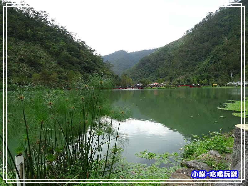 望龍埤 (10).jpg 望龍埤 (10).jpg