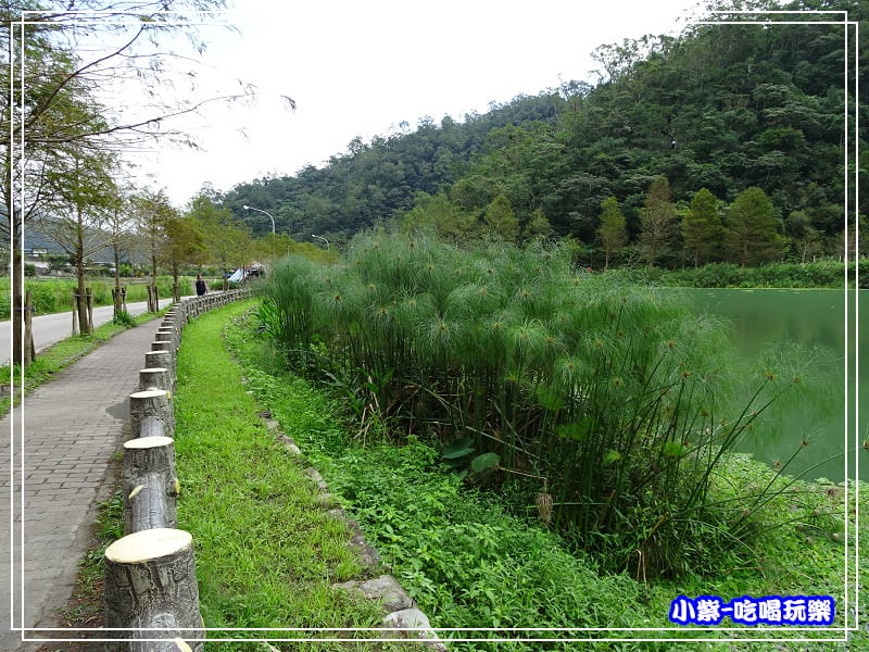 望龍埤 (11).jpg 望龍埤 (11).jpg