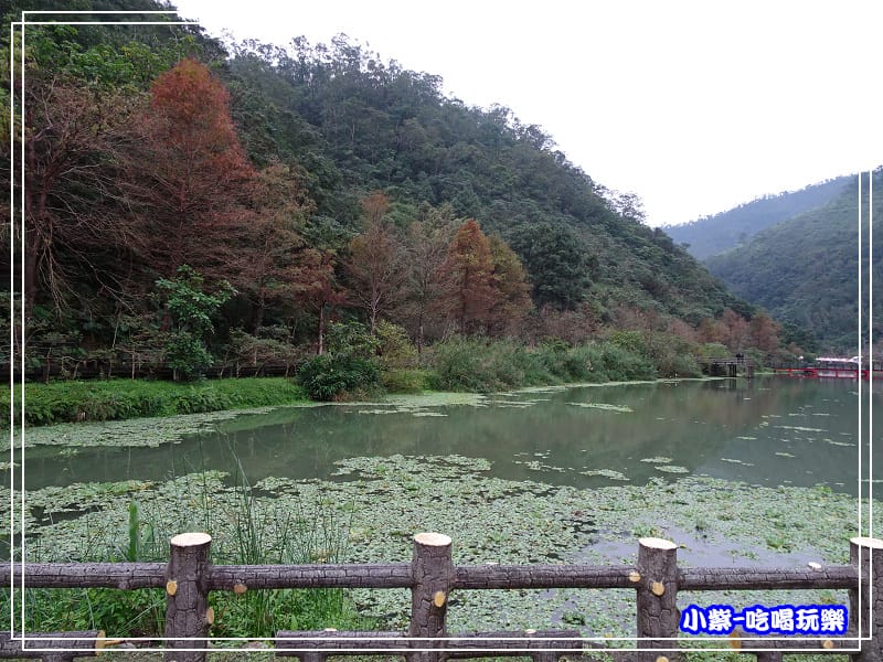 望龍埤 (27).jpg 望龍埤 (27).jpg