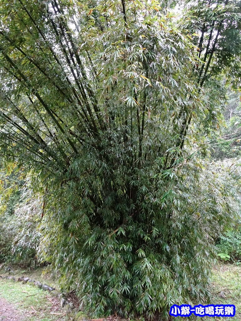 DSC0516728.jpg
