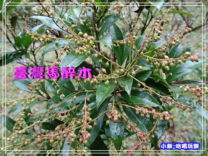 DSC0509564.jpg