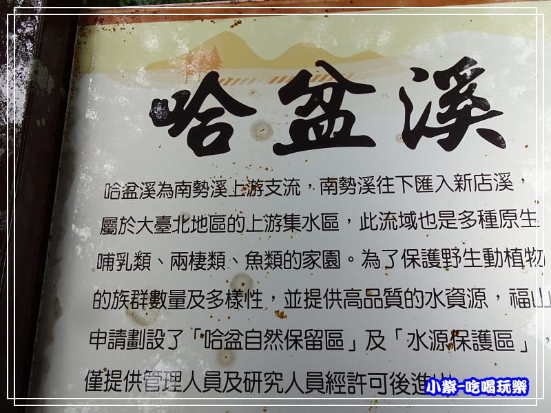 DSC0508559.jpg