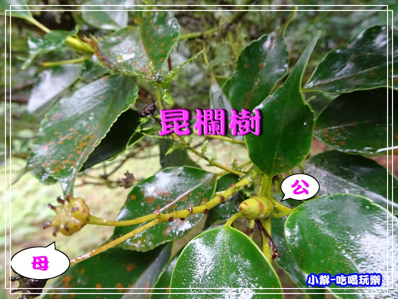 DSC0508156.jpg