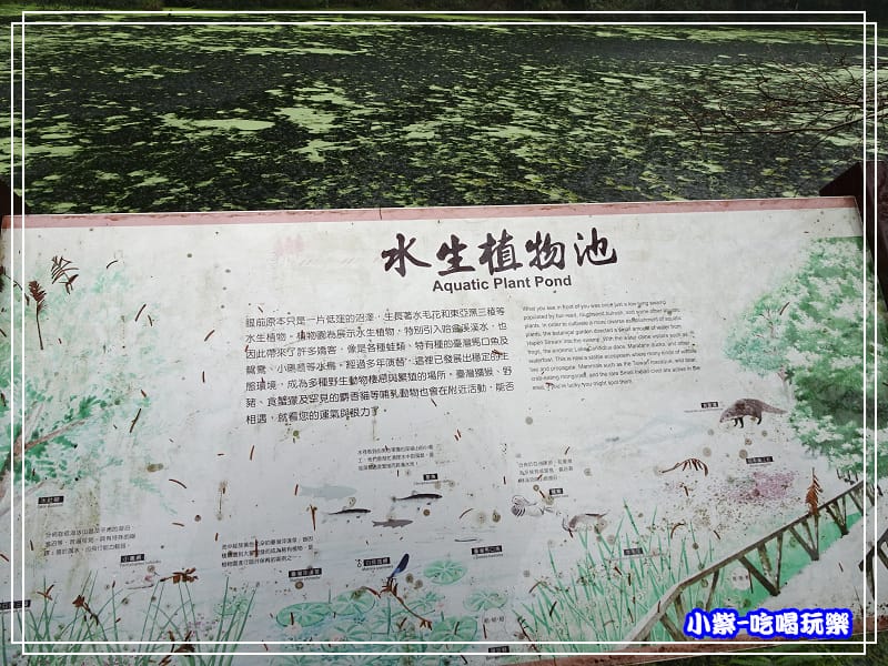 DSC0499813.jpg