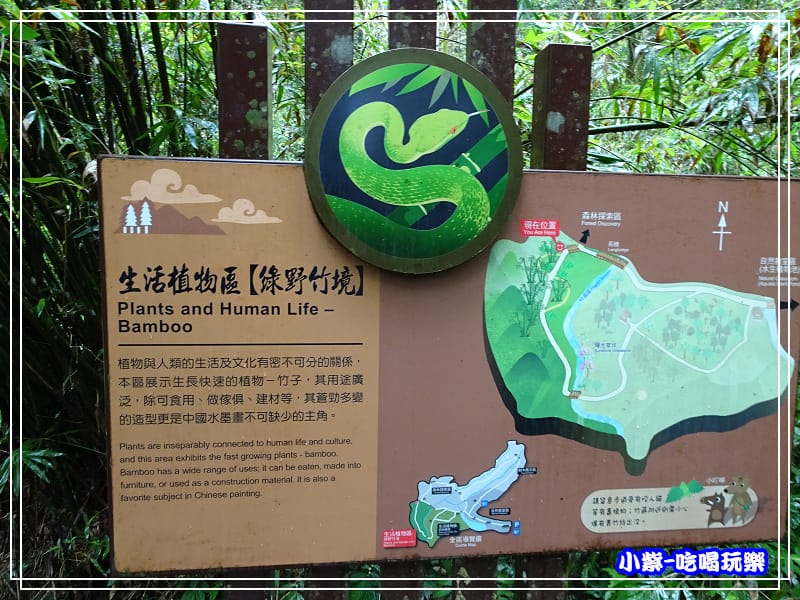 DSC05163101.jpg