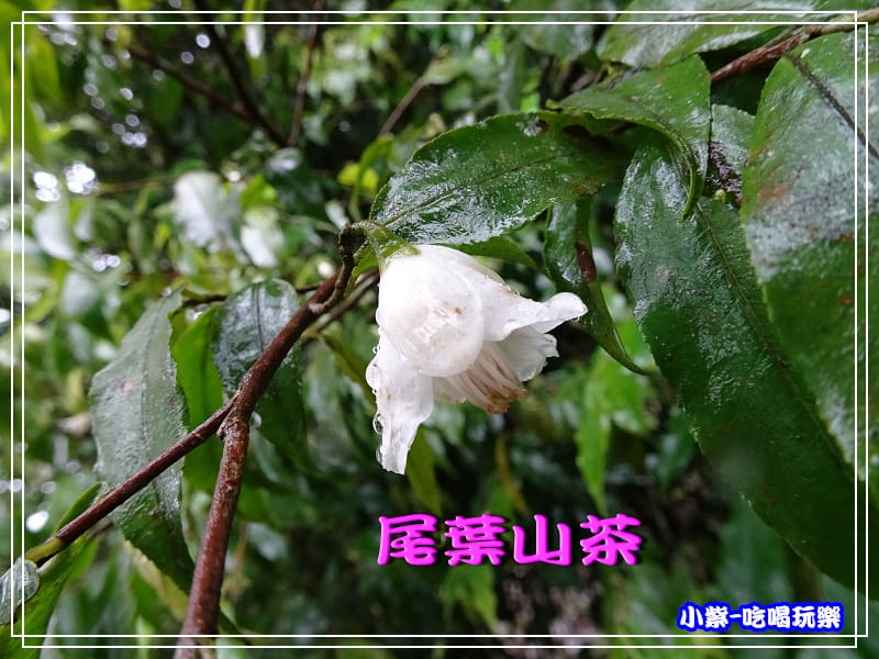 DSC0510067.jpg
