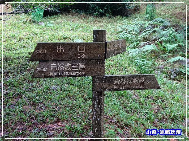 DSC05177111.jpg