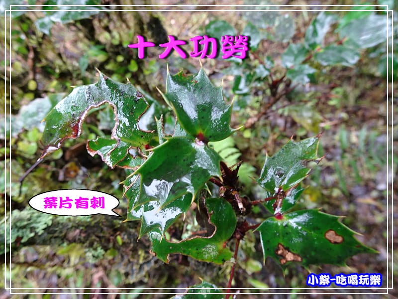 DSC0508357.jpg