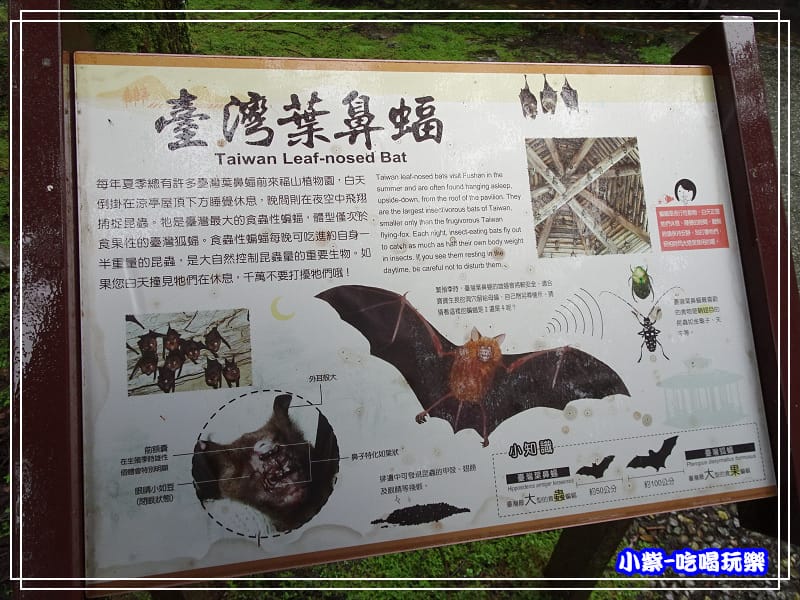 DSC0501627.jpg