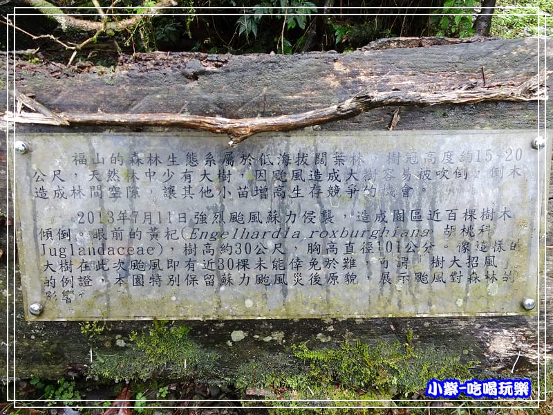 DSC0512275.jpg