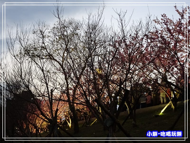 樂活公園 (18).jpg