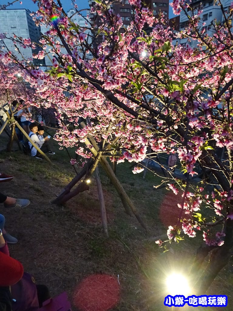 樂活公園 (3).jpg