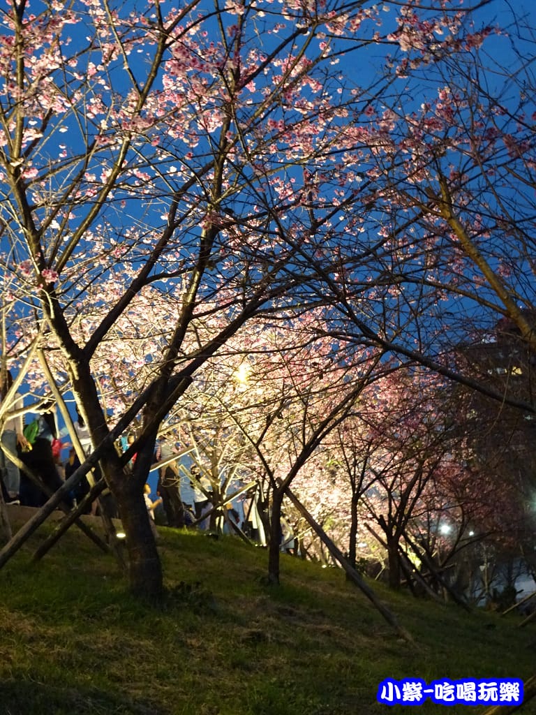 樂活公園 (6).jpg
