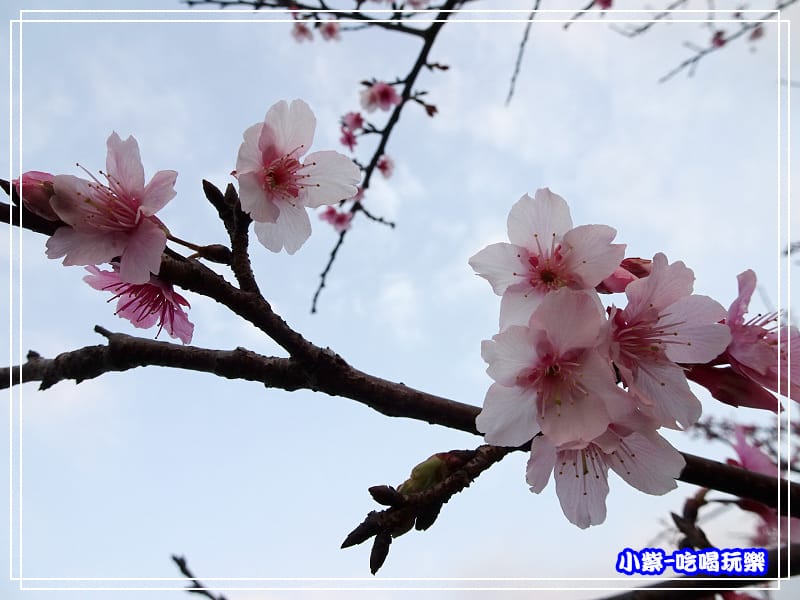樂活公園 (15)P02.jpg