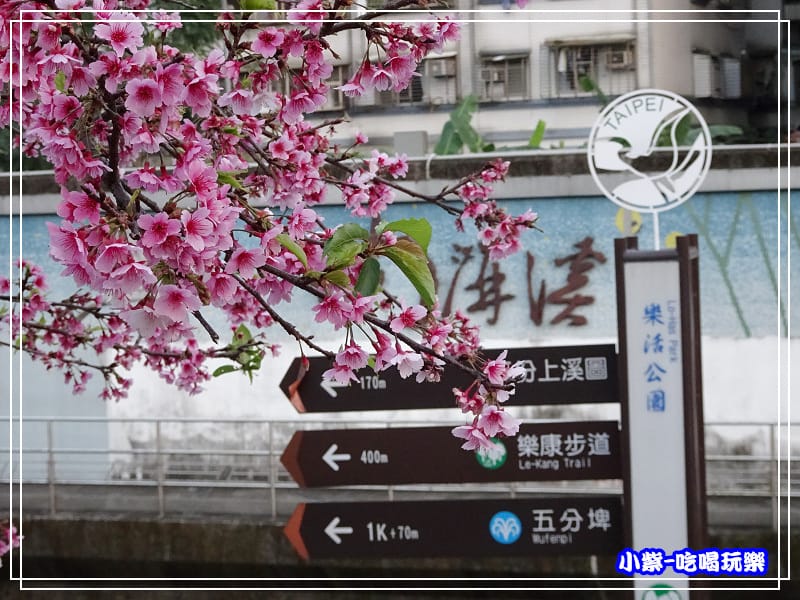 樂活公園 (9).jpg