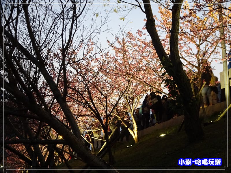 樂活公園 (20).jpg